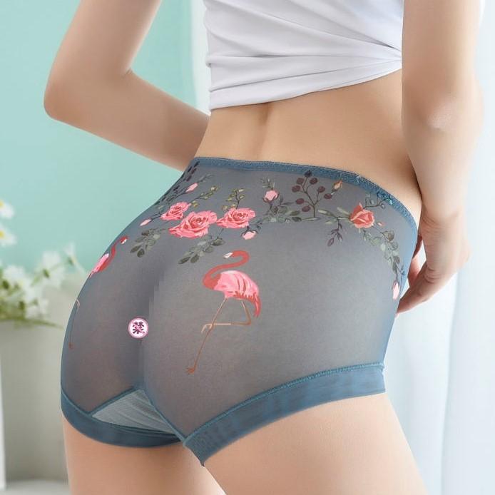high-waist lace plus size panties for women