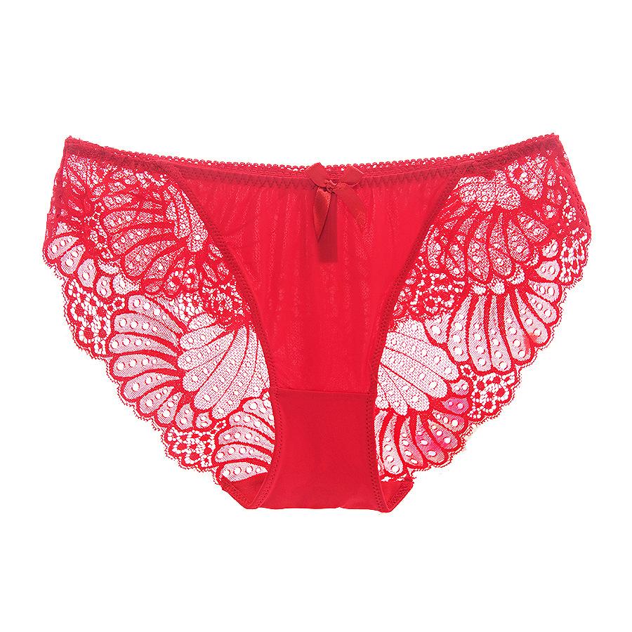 Large size sexy temptation lace trim transparent low-rise panties